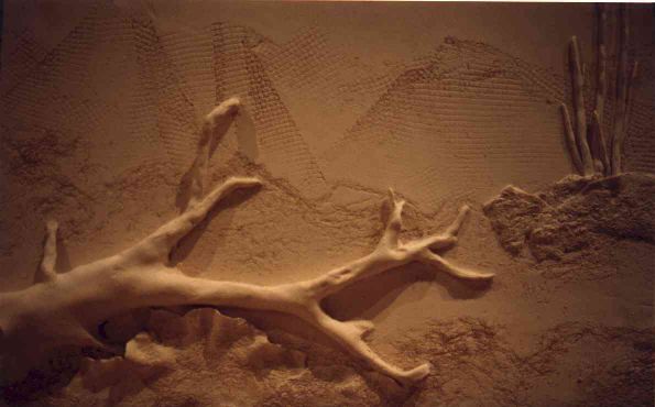 Sculpture