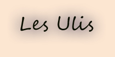 Les Ulis